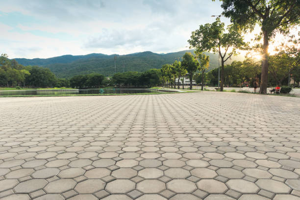 Best Residential Paver Driveway  in Home Gardens, CA